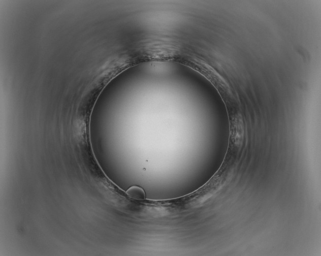 X0000112890523200908211456