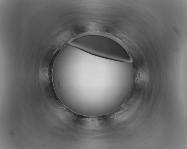 X0000112890524200908211456