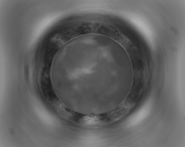 X0000112890526200908211456