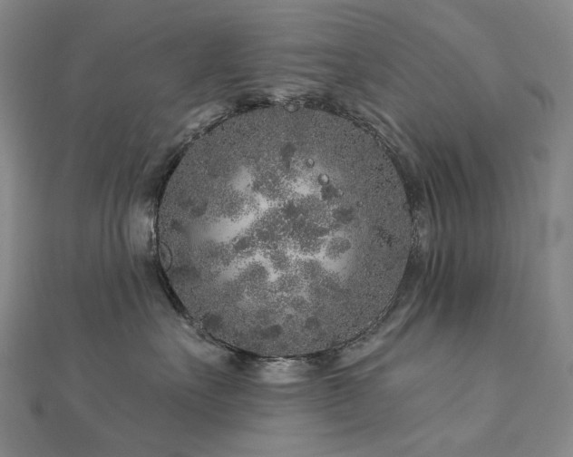 X0000112890527200908211456