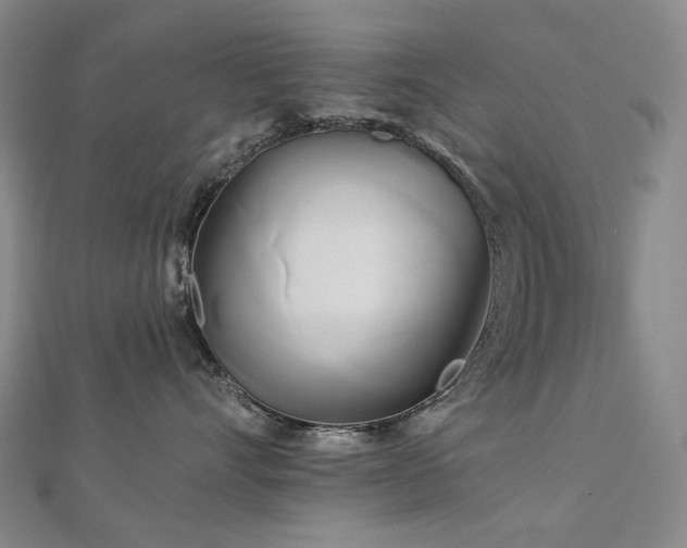X0000112890528200908211456