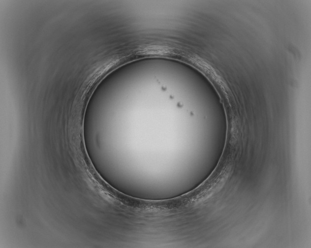X0000112890529200908211456