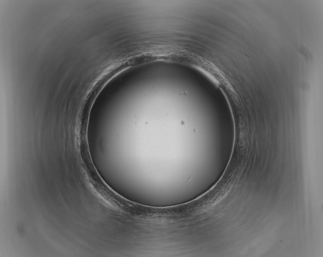 X0000112890530200908211456