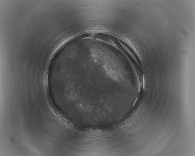 X0000112890531200908211456