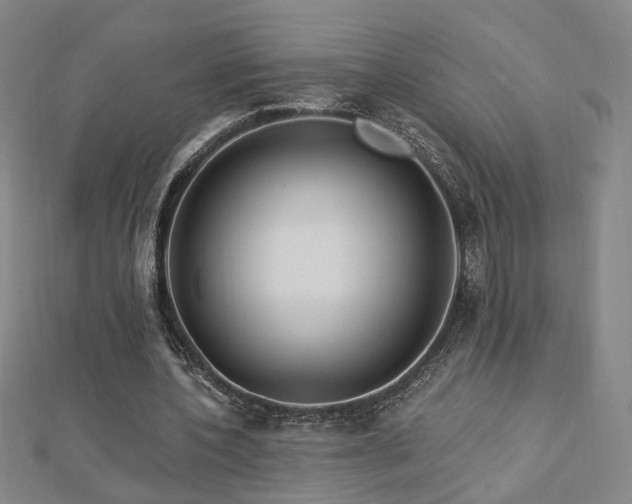 X0000112890532200908211456