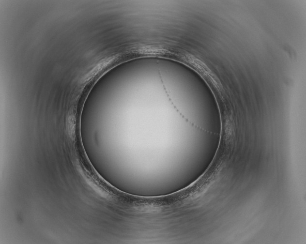 X0000112890533200908211456