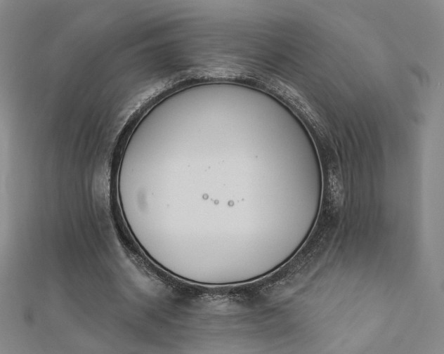 X0000112890534200908211456