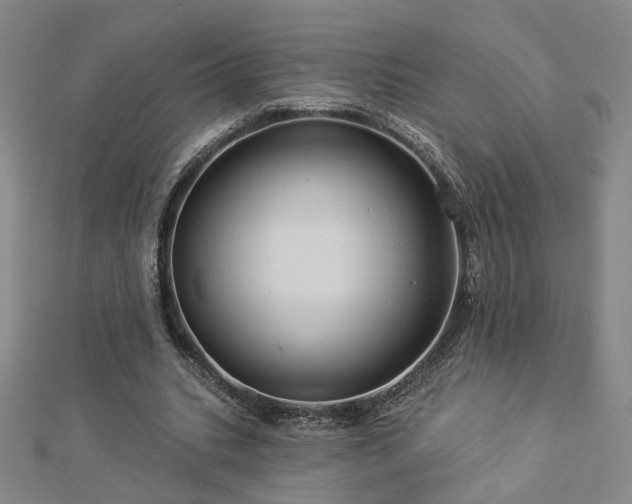 X0000112890535200908211456