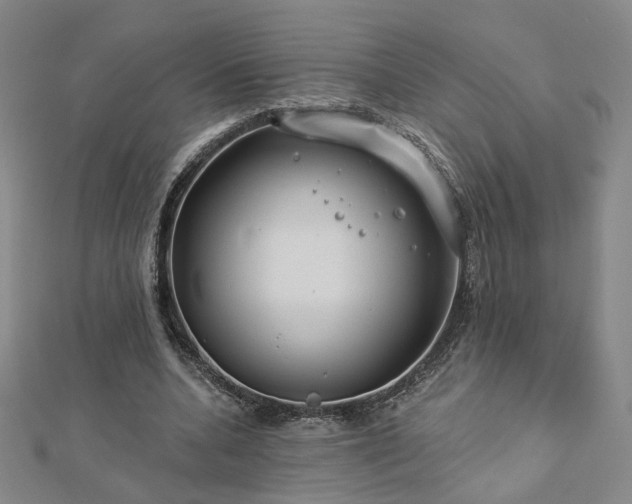 X0000112890536200908211456