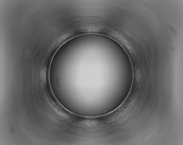 X0000112890537200908211456
