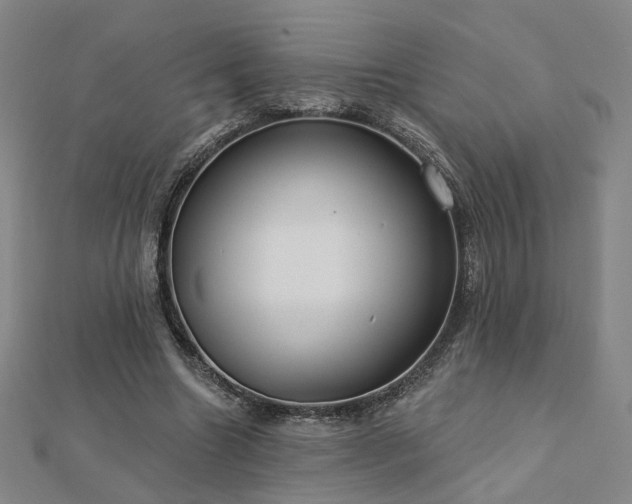 X0000112890538200908211456