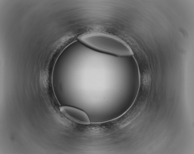 X0000112890540200908211456