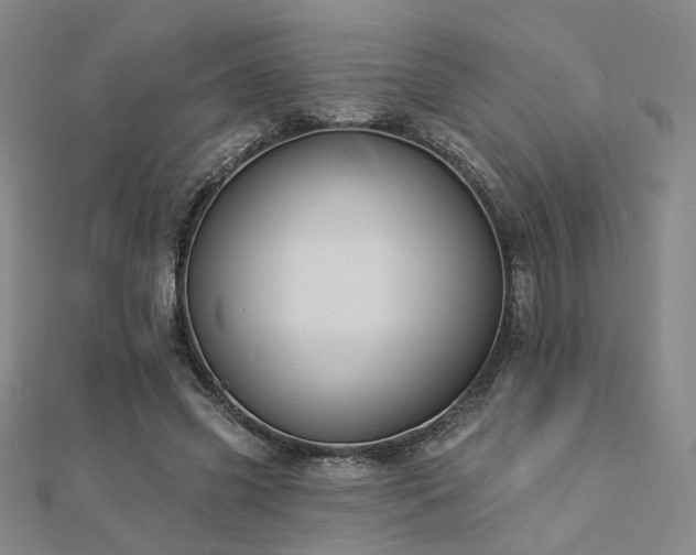 X0000112890541200908211456
