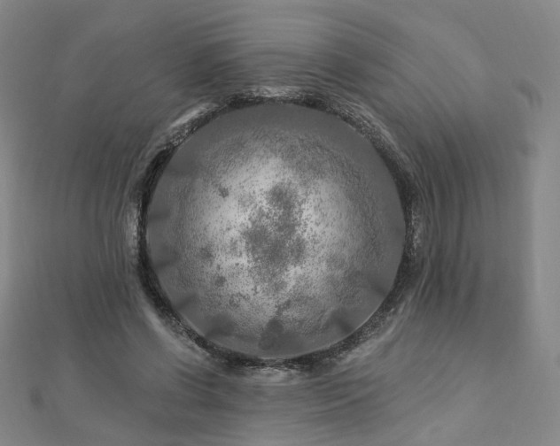 X0000112890542200908211456