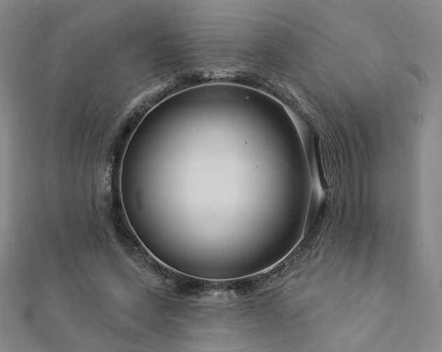 X0000112890543200908211456