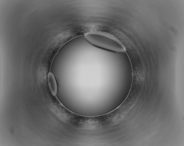 X0000112890546200908211456