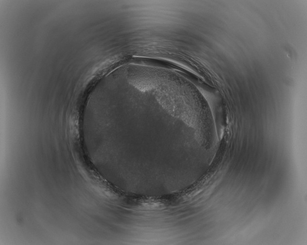 X0000112890547200908211456