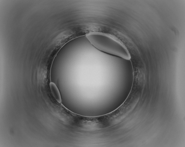 X0000112890548200908211456
