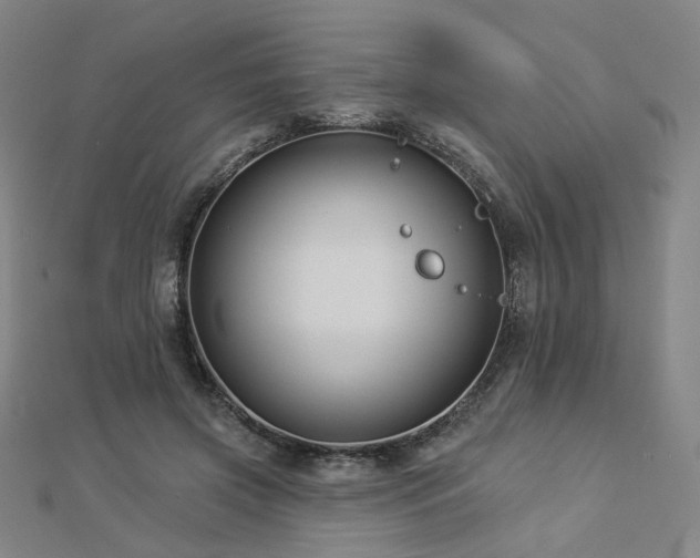 X0000112890549200908211456