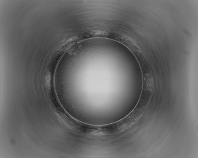 X0000112890550200908211456