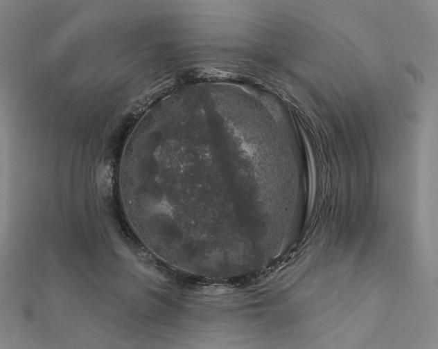 X0000112890551200908211456