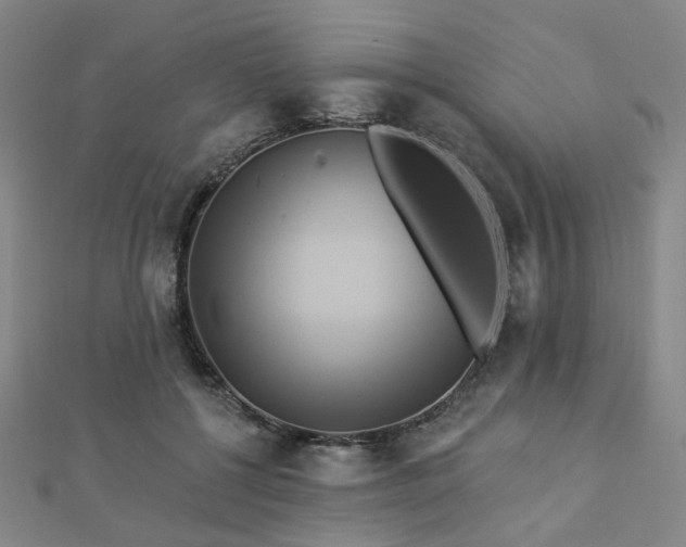 X0000112890552200908211456