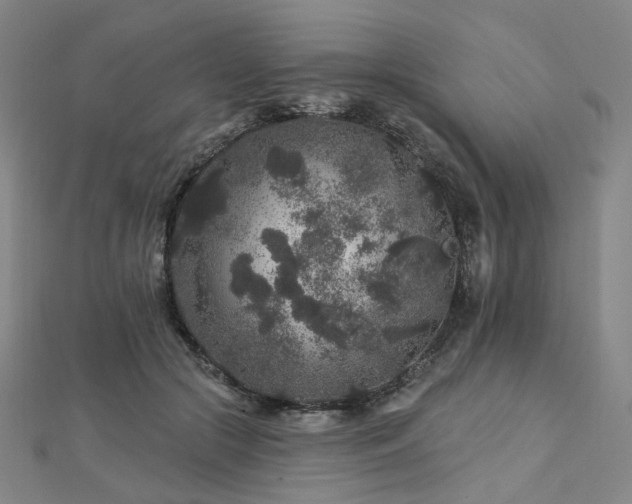 X0000112890553200908211456