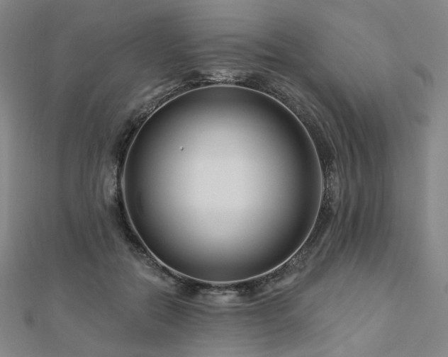 X0000112890554200908211456