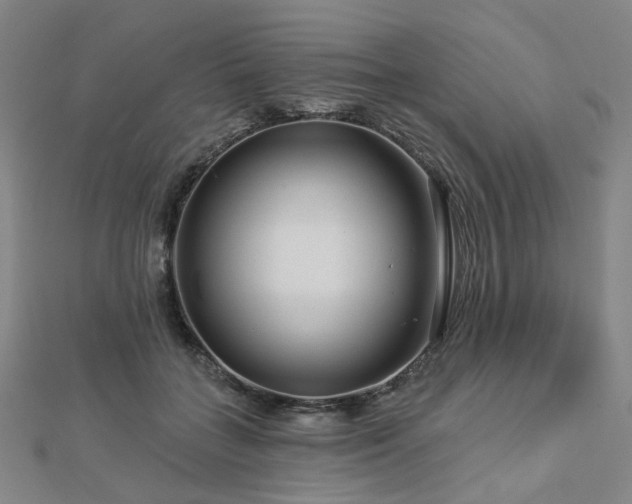 X0000112890555200908211456