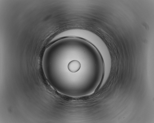 X0000112890556200908211456