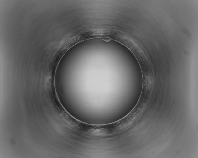 X0000112890557200908211456