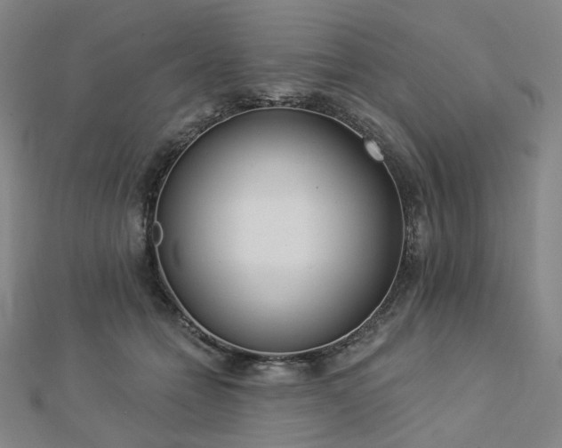 X0000112890558200908211456