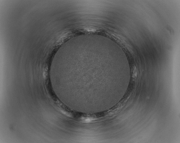 X0000112890559200908211456