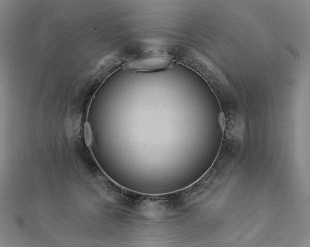 X0000112890560200908211456