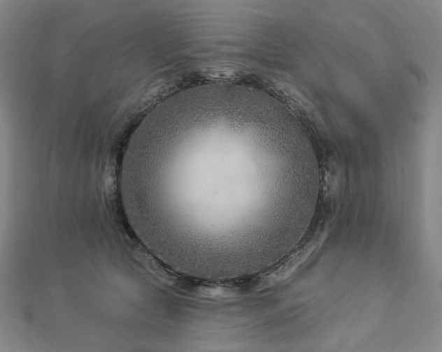 X0000112890561200908211456