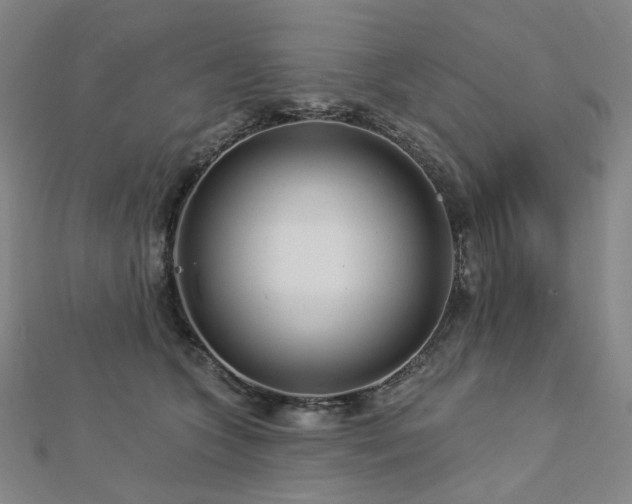 X0000112890563200908211456