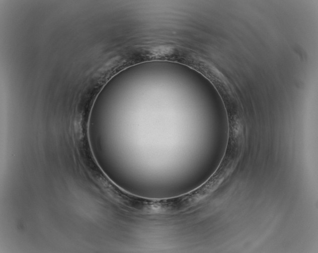 X0000112890565200908211456