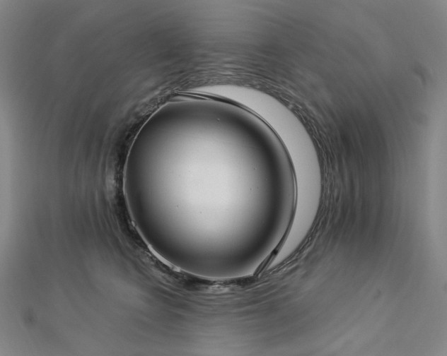 X0000112890566200908211456