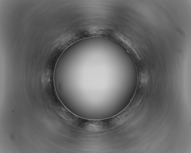 X0000112890567200908211456