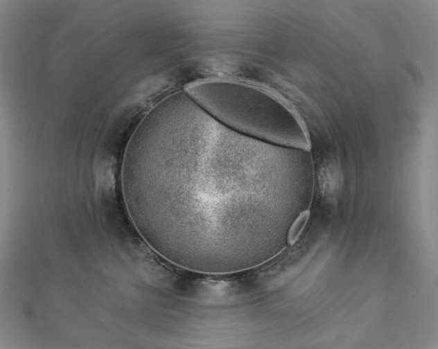 X0000112890570200908211456