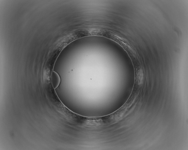X0000112890571200908211456