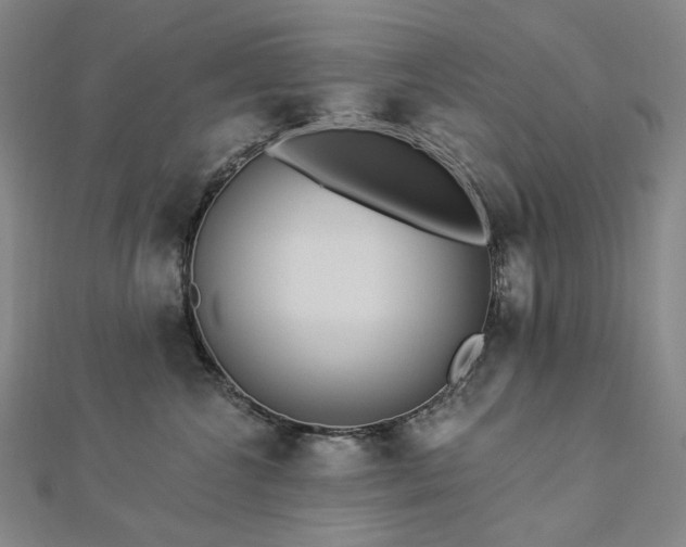 X0000112890572200908211456