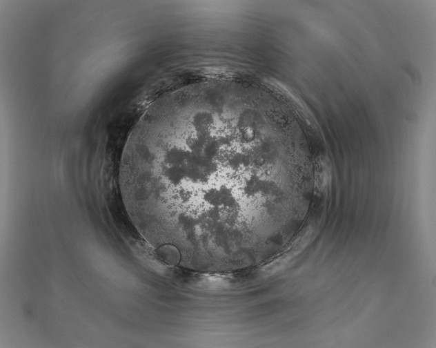 X0000112890573200908211456