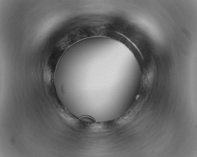X0000112890574200908211456