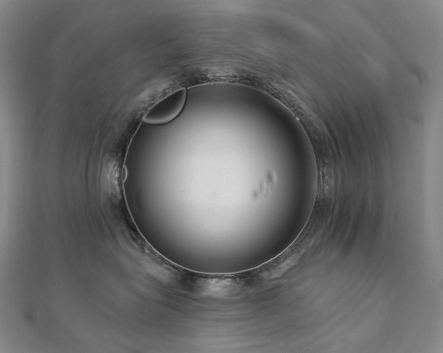 X0000112890575200908211456