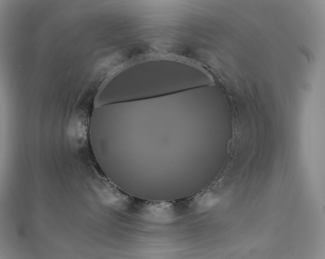 X0000112890576200908211456