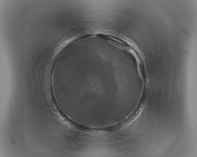 X0000112890577200908211456
