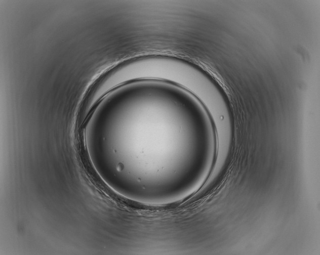 X0000112890579200908211455