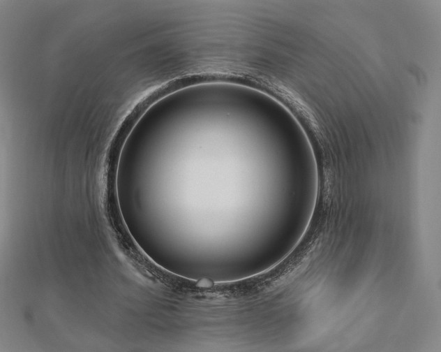 X0000112890580200908211455
