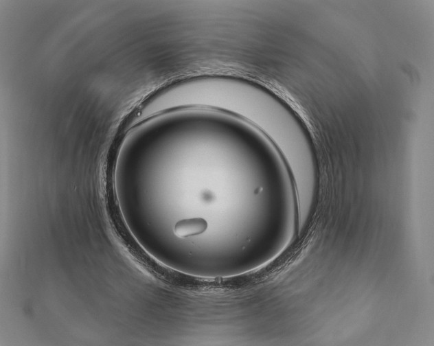 X0000112890581200908211455